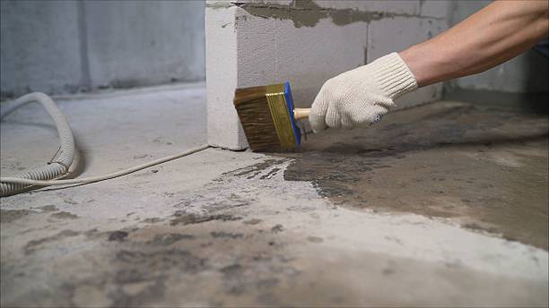 Top rated local Crawl Space Encapsulation specialists in New Market, VA