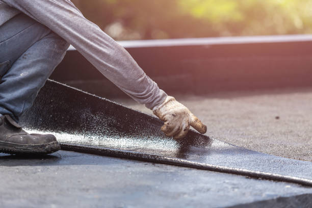Professional Crawl Space Encapsulation technician working in New Market, VA